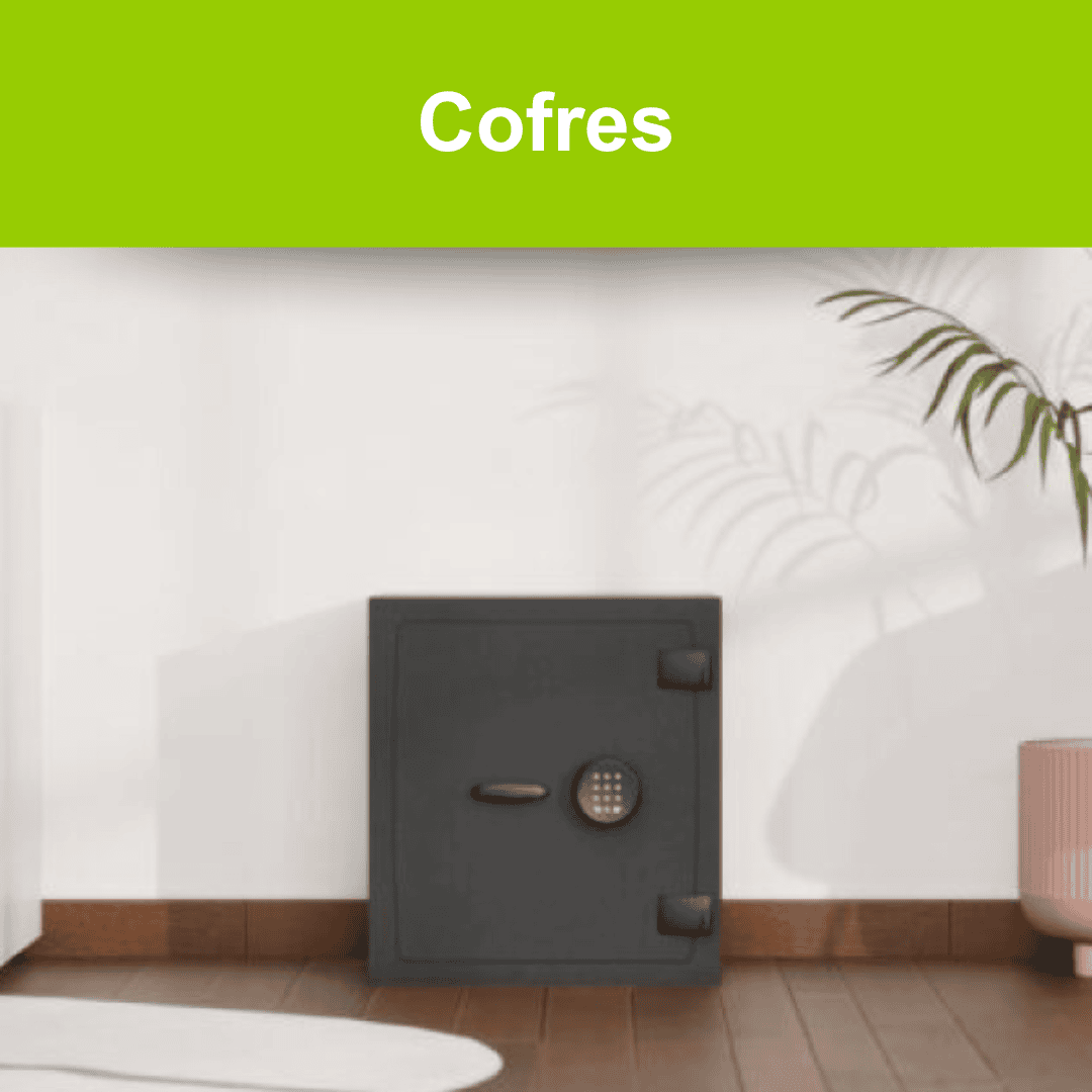 Cofres Fichet Alta Seguranca loja Fichet Porto